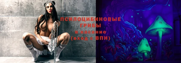 мдпв Покачи