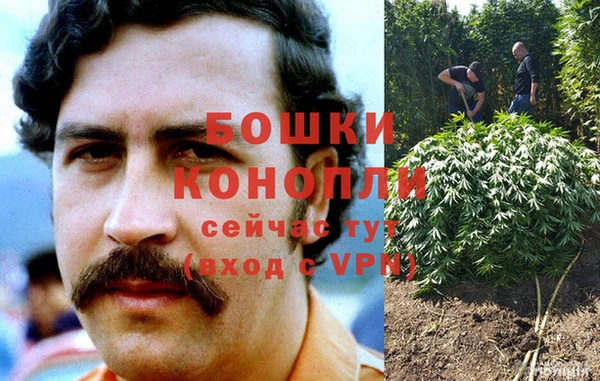 ПСИЛОЦИБИНОВЫЕ ГРИБЫ Алзамай