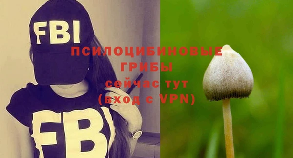 ПСИЛОЦИБИНОВЫЕ ГРИБЫ Алзамай