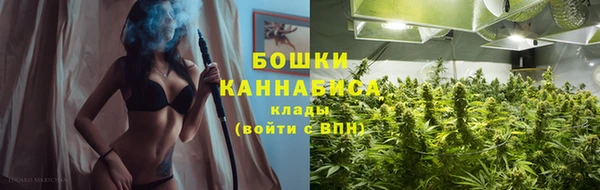 ПСИЛОЦИБИНОВЫЕ ГРИБЫ Алзамай