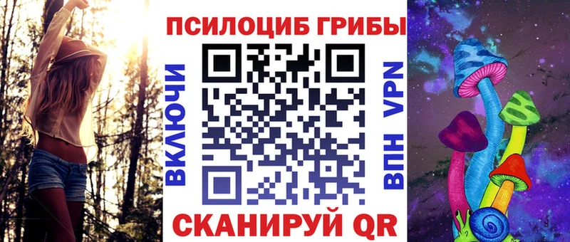 Галлюциногенные грибы мицелий  как найти закладки  Данилов 